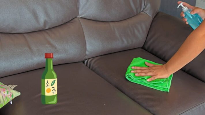 Giữ cho không gian thoáng mát và tránh nồm ẩm để tránh phải vệ sinh đồ da nhiều lần 